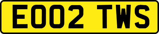EO02TWS