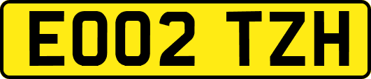 EO02TZH