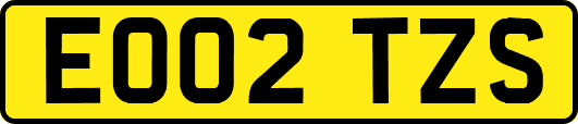 EO02TZS