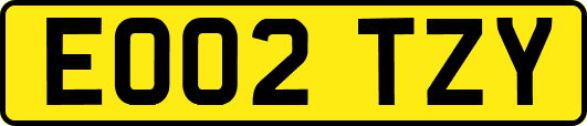 EO02TZY