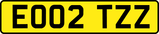 EO02TZZ