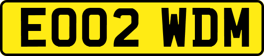 EO02WDM