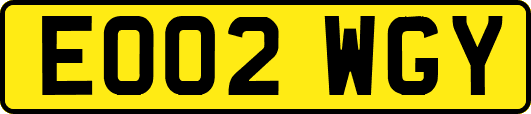 EO02WGY