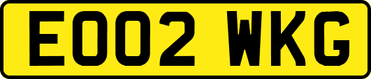 EO02WKG