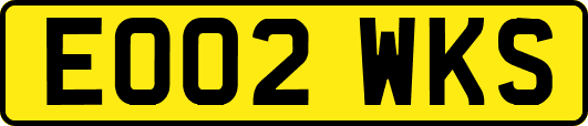 EO02WKS