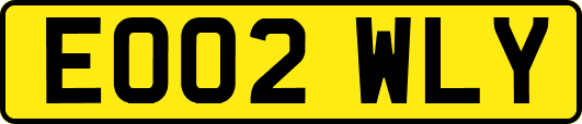 EO02WLY