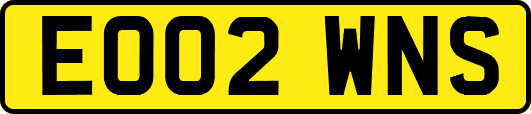 EO02WNS