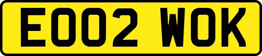 EO02WOK