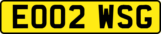 EO02WSG