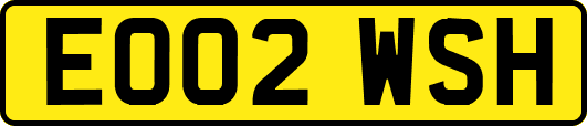 EO02WSH
