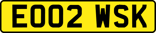 EO02WSK
