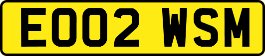 EO02WSM
