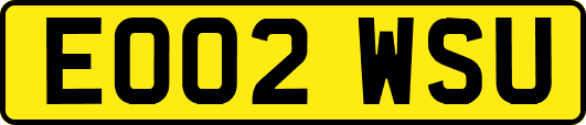 EO02WSU