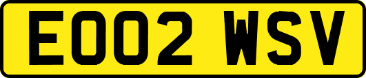 EO02WSV
