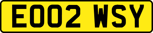 EO02WSY