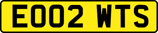 EO02WTS