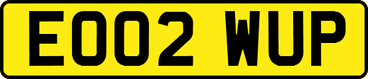 EO02WUP