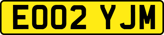 EO02YJM