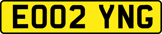 EO02YNG