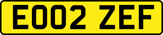 EO02ZEF