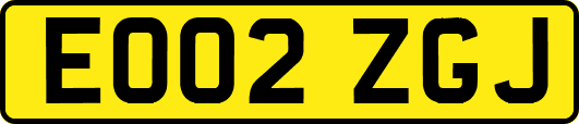EO02ZGJ