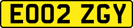 EO02ZGY
