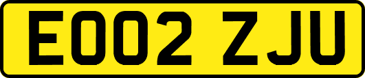EO02ZJU