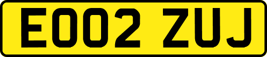 EO02ZUJ