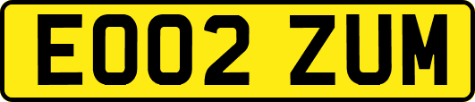 EO02ZUM