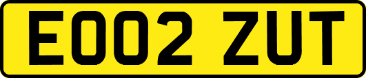 EO02ZUT