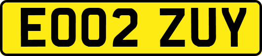 EO02ZUY