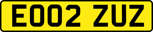 EO02ZUZ