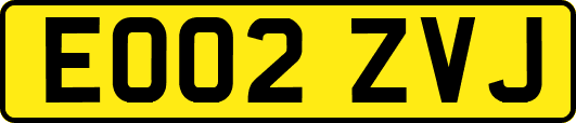 EO02ZVJ