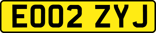 EO02ZYJ