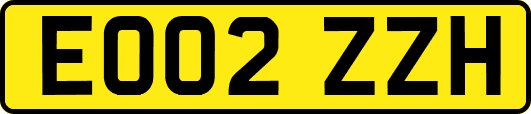 EO02ZZH