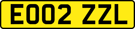 EO02ZZL