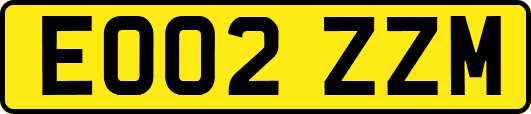 EO02ZZM
