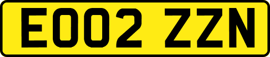 EO02ZZN