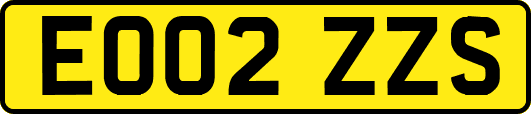 EO02ZZS