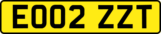 EO02ZZT