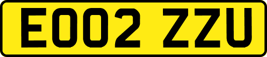 EO02ZZU