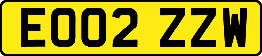 EO02ZZW