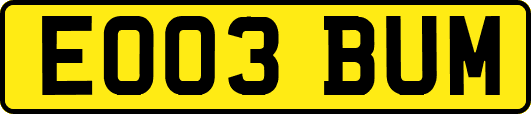 EO03BUM