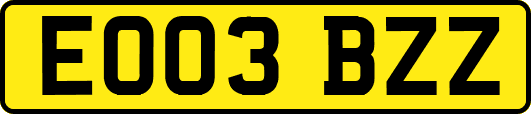 EO03BZZ