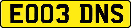 EO03DNS