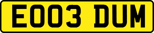 EO03DUM