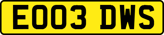 EO03DWS