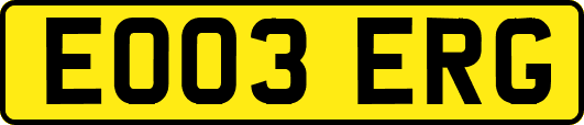 EO03ERG