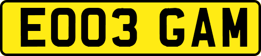 EO03GAM