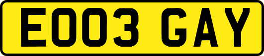 EO03GAY